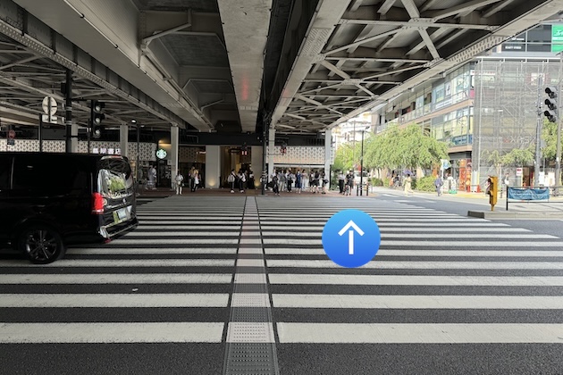 横断歩道を蔦屋書店方面へ渡ります